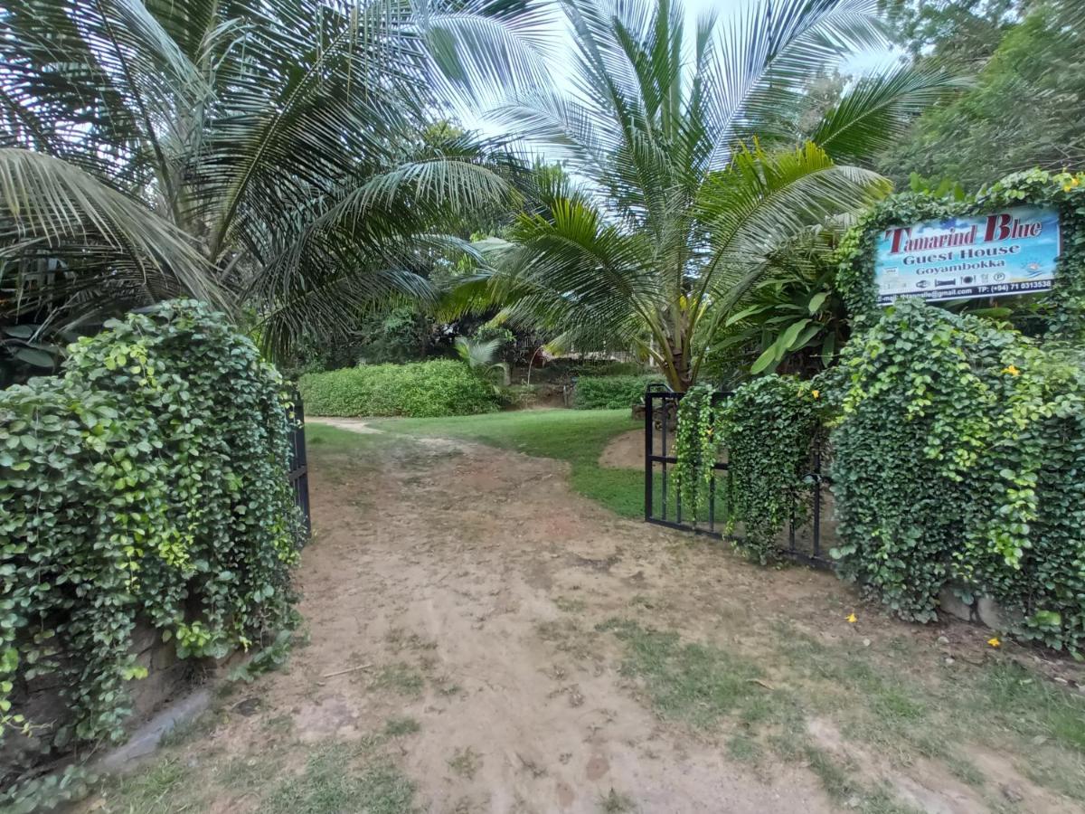 Hotel Tamarind Blue Tangalle Exterior foto
